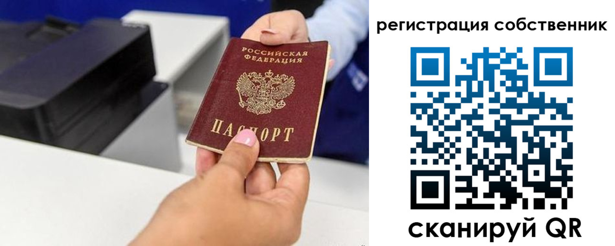 прописка для школы в Хвалынске
