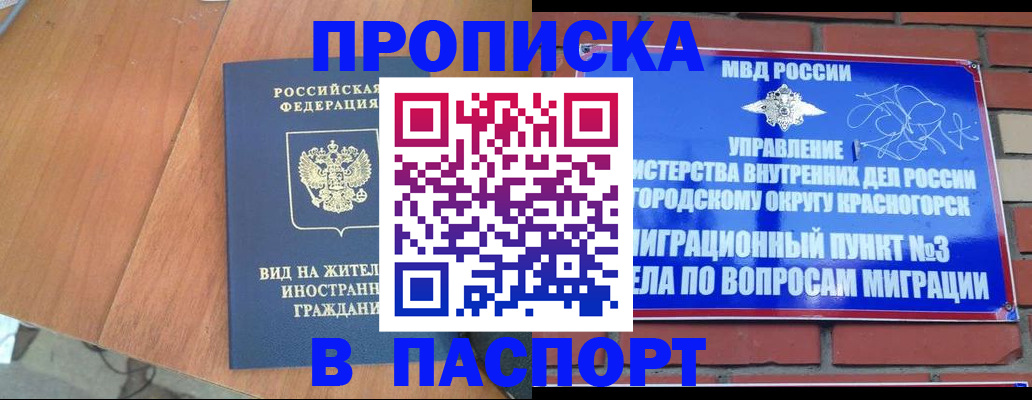 найти адрес прописки в Хвалынске